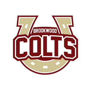 Brookwood Colts horseshoe